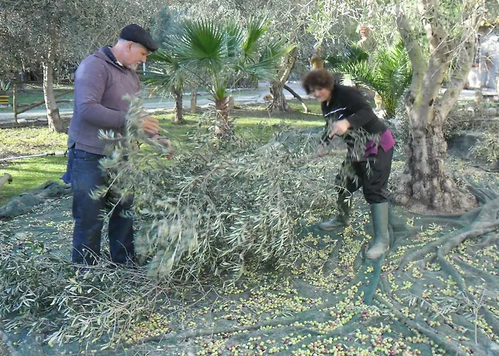 Agriturismo Il Cappellano בית חווה *