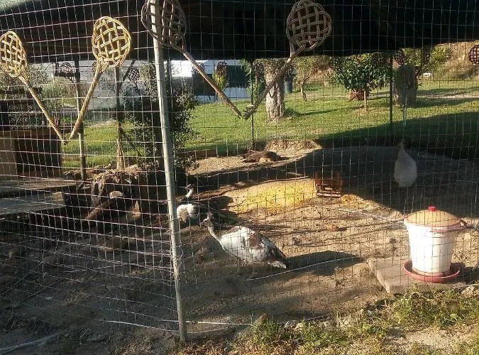 Agriturismo Il Cappellano מנדטוריצ'ו