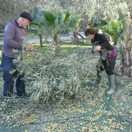 Agriturismo Il Cappellano Farmház *