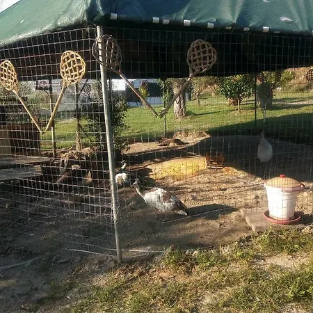 Agriturismo Il Cappellano Mandatoriccio