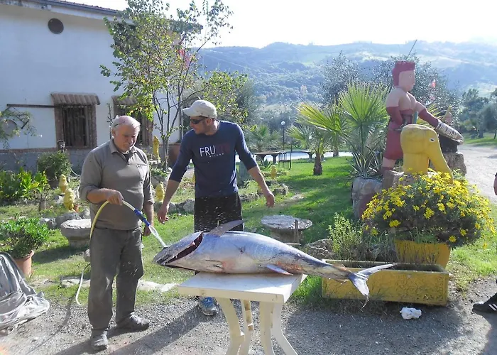 Agriturismo Il Cappellano Alloggio per agriturismo